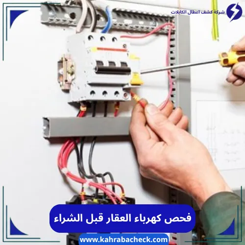 فحص كهرباء العقار قبل الشراء